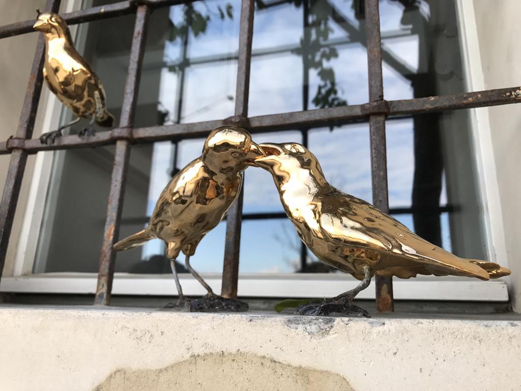 B&B Ca Bianca Dell'Abbadessa Сан-Ладзаро-ди-Савена Экстерьер фото